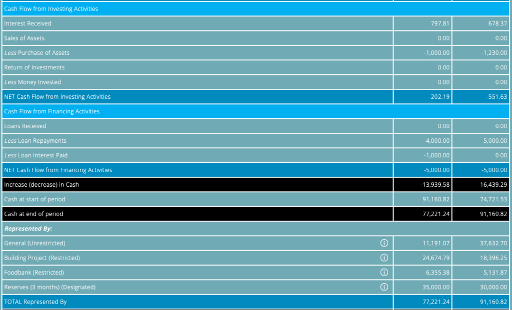 ExpensePlus Screenshot of statement of cash flows